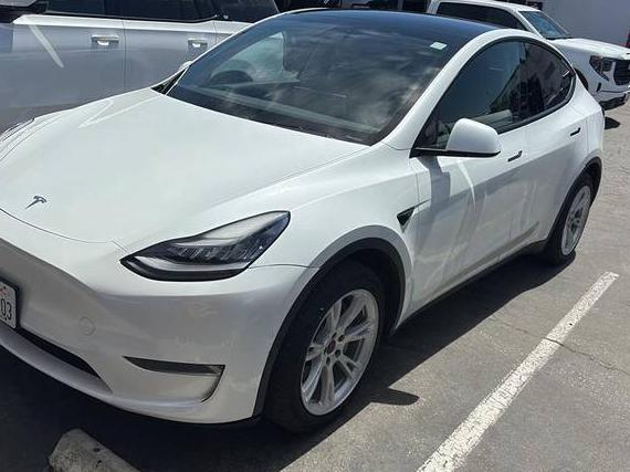 TESLA MODEL Y 2020 5YJYGDEEXLF054485 image